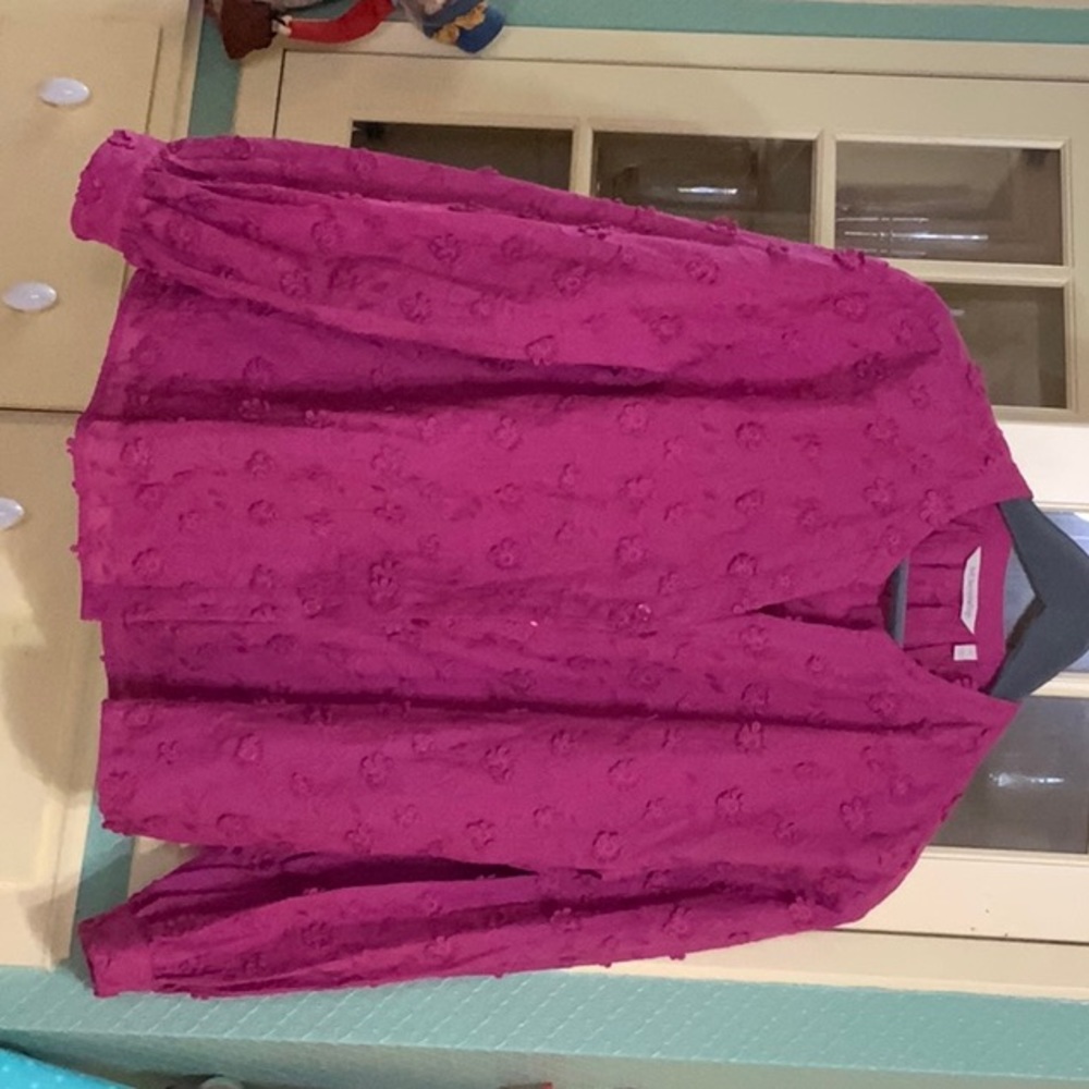 Soft Surroundings Sunny Day Blouse Embroidered Floral Button Down Top Pink Large